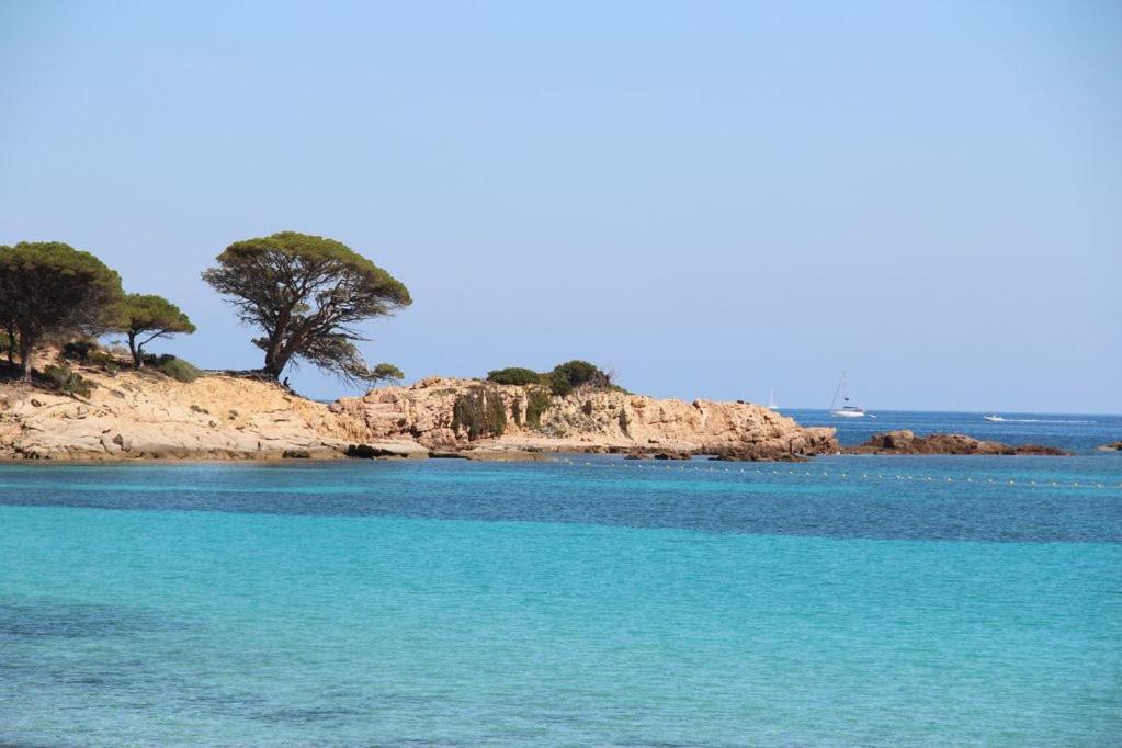 Villa Largia Porto Vecchio - A 5 Min Des Plages De Palombaggia - Calme- Climatisation ภายนอก รูปภาพ